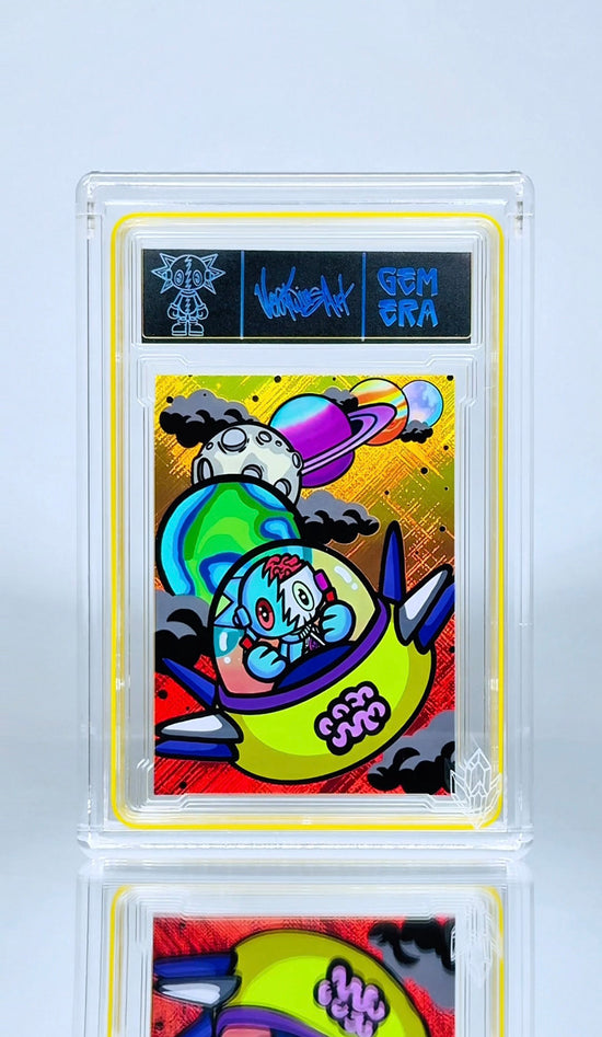 Fly Brain